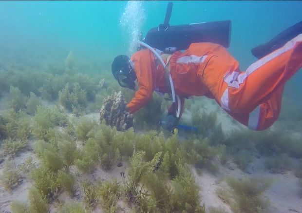 德赢·(VWIN)官方网站-AC米兰官方相助同伴