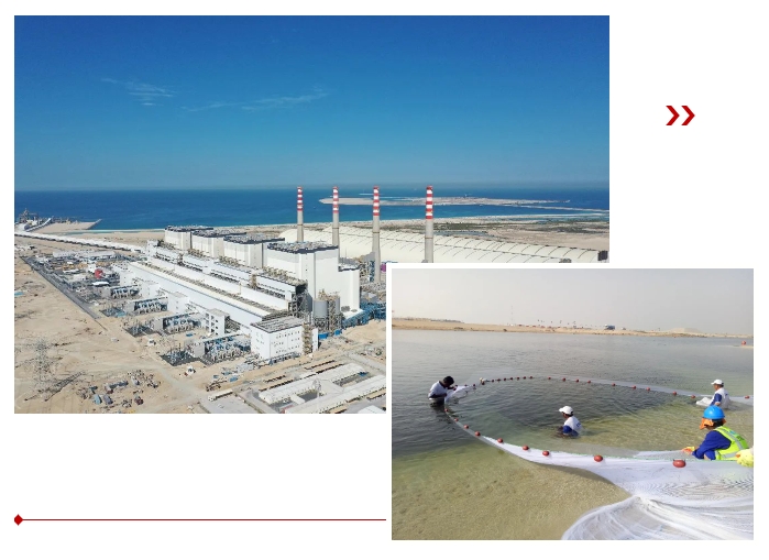 德赢·(VWIN)官方网站-AC米兰官方相助同伴