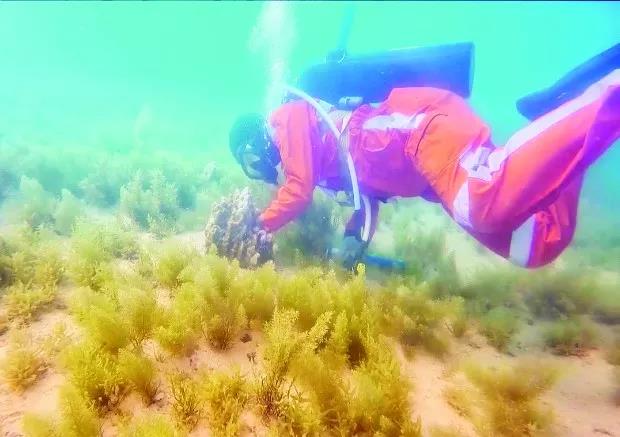 德赢·(VWIN)官方网站-AC米兰官方相助同伴