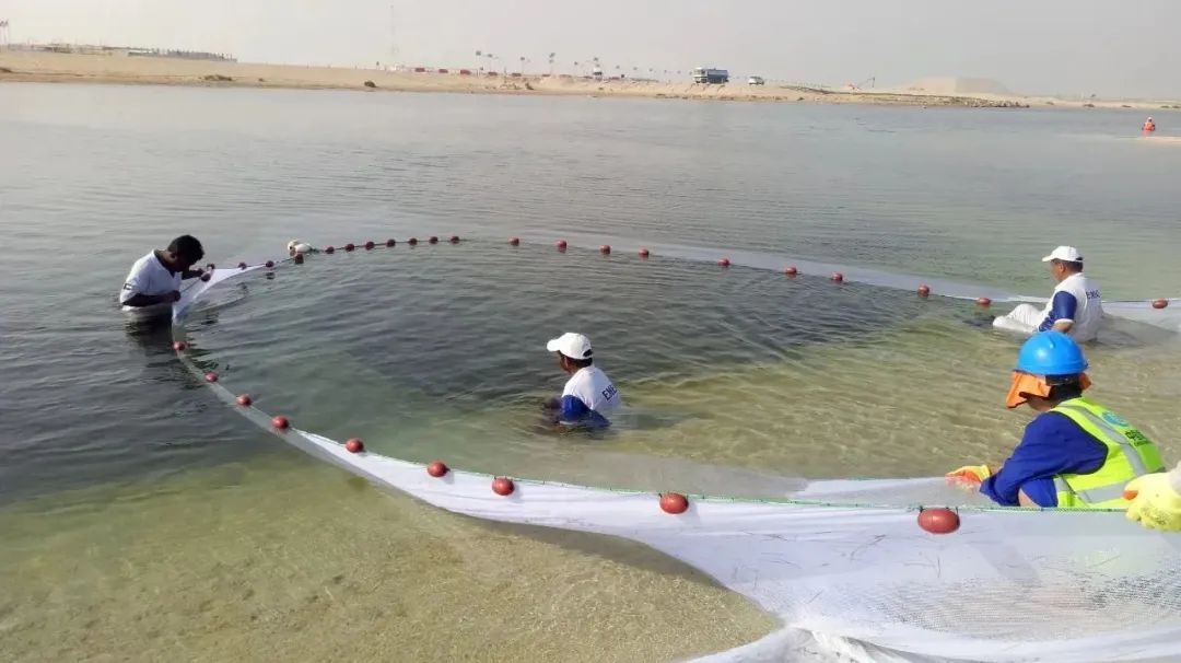 德赢·(VWIN)官方网站-AC米兰官方相助同伴