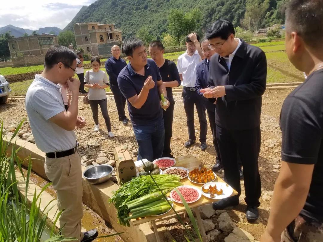 德赢·(VWIN)官方网站-AC米兰官方相助同伴