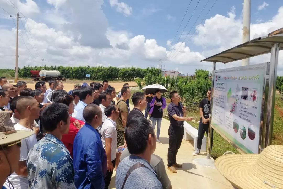 德赢·(VWIN)官方网站-AC米兰官方相助同伴