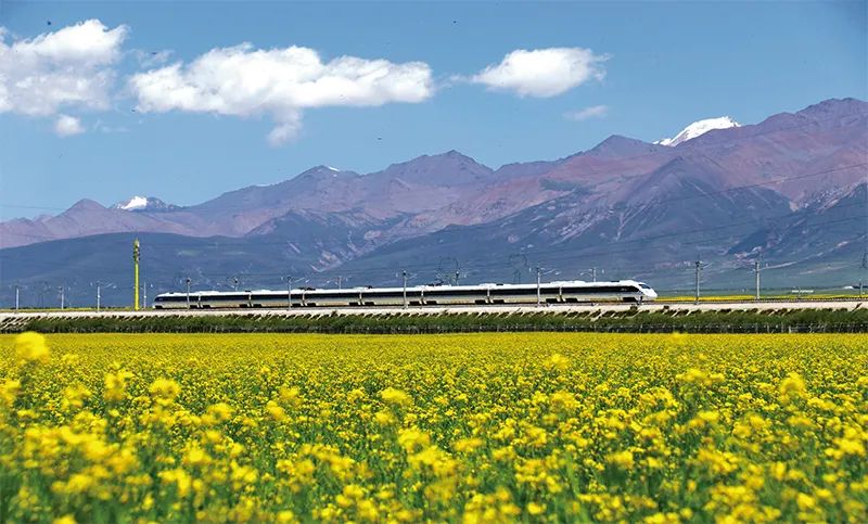 张玉卓、国资、央企、国资委、书记、主任、国企、企业刷新